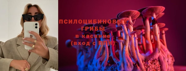 ГАЛЛЮЦИНОГЕННЫЕ ГРИБЫ Белая Холуница