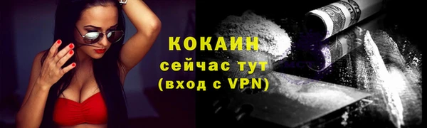 прущие грибы Кукмор
