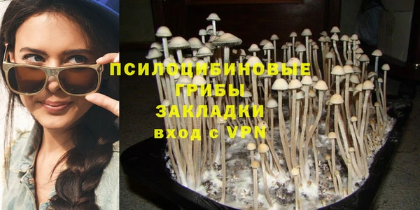 прущие грибы Кукмор