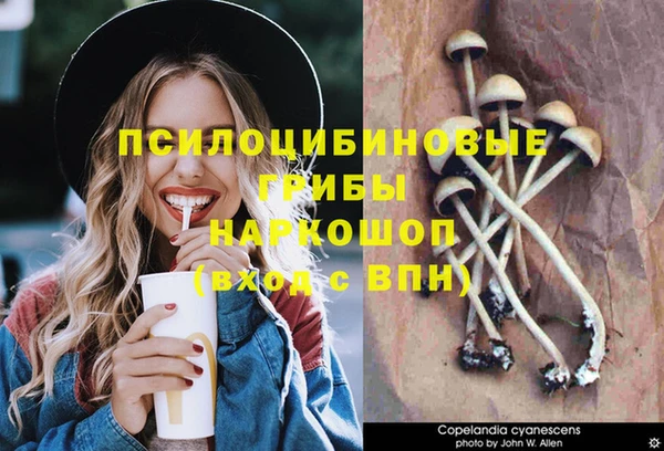 ГАЛЛЮЦИНОГЕННЫЕ ГРИБЫ Белая Холуница