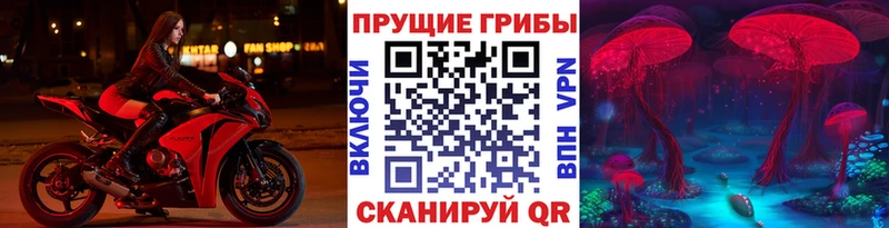 Псилоцибиновые грибы Cubensis Боготол
